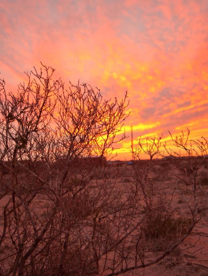 Tortoise Trail Lodge Langebaan Εξωτερικό φωτογραφία